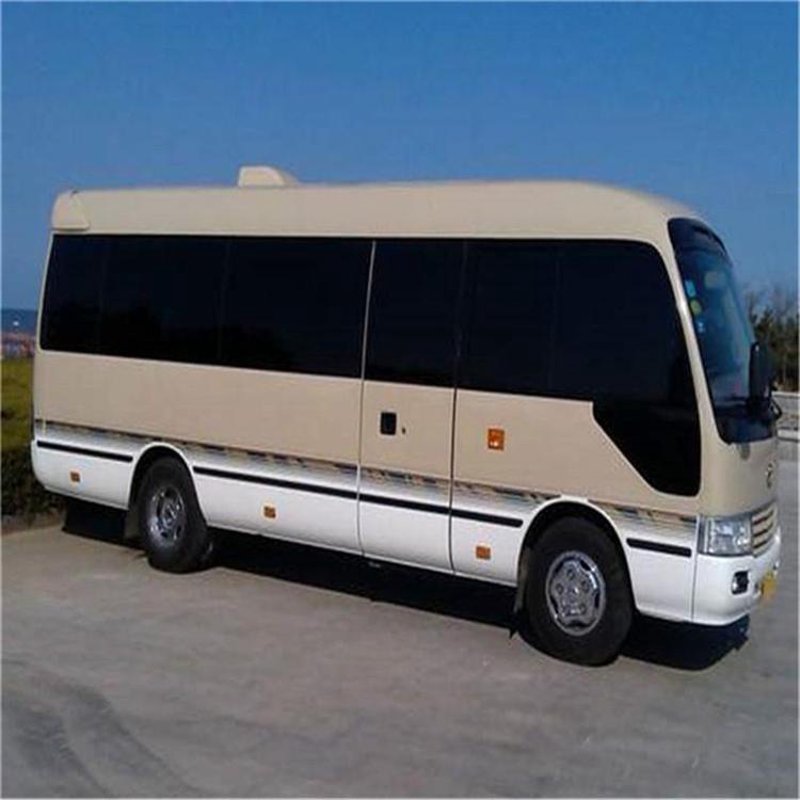西双版纳旅游包车：打开热带风情旅行画卷的方式