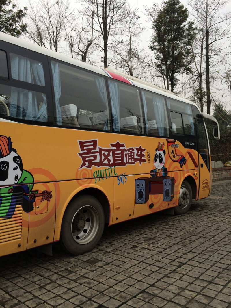 西双版纳旅游包车,尽享自然与文化之旅